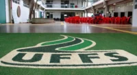 Concurso UFFS: Oportunidade para Professor de Psicologia em Passo Fundo com Salários de Até R$ 8.340,33