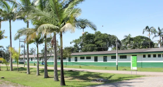IFC Araquari (SC) abre vaga para Professor de Informática