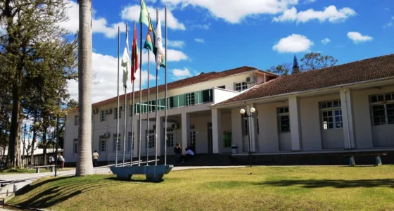 IFC Camboriú (SC): Vaga para Professor de Sociologia