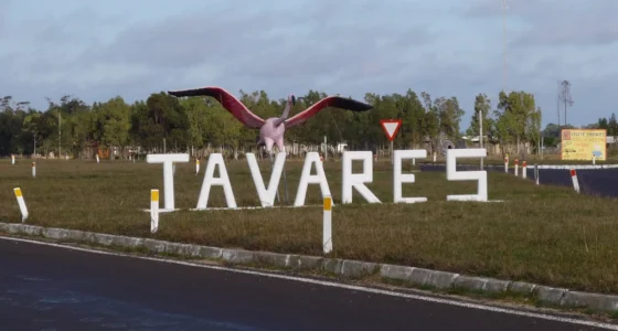 Tavares (RS): Processo Seletivo para Contador com Salário de R$ 4.364