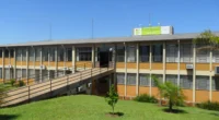 IFRS Ibirubá: Vaga para Professor de Educação Física