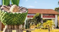 Muitos Capões (RS) abre vaga temporária para Nutricionista