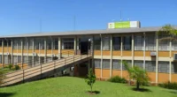 Ibirubá (RS): Processo Seletivo para Auxiliar de Ensino Ibirubá (RS): Processo Seletivo para Auxiliar de Ensino